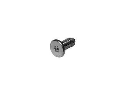 Screw T10, WH, DLTA, PT 4 x 9mm 922-9238