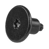 Screw, Speaker, Short, Torx T5 923-01179