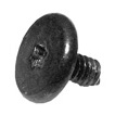 Screw, M1.6 x 3.6, Torx T5, Large Head 923-0149