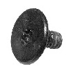 Screw, M1.6 x 2.95, Torx T5 923-0158