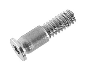 Screw, Bottom Case, Rear Center, Pentalobe P5, Silver 923-02819