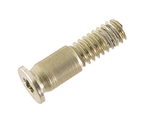 Screw, Bottom Case, Rear Center, Pentalobe P5, Gold 923-02822