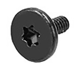 Screw M2, 5.00, Torx T8 923-0711