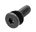 Screw M2 w/ Washer, AC Inlet, Torx T5 923-0727